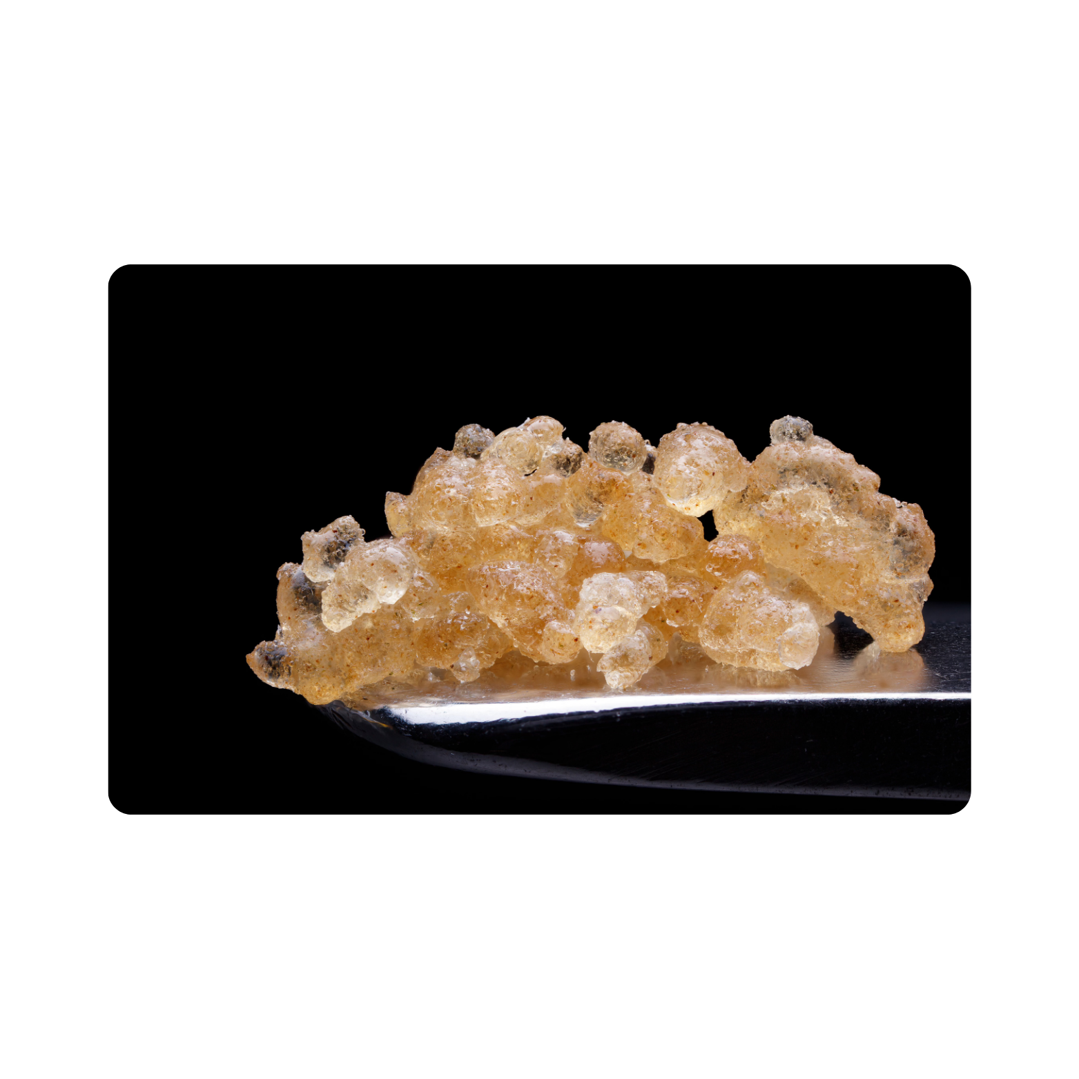 Caviar